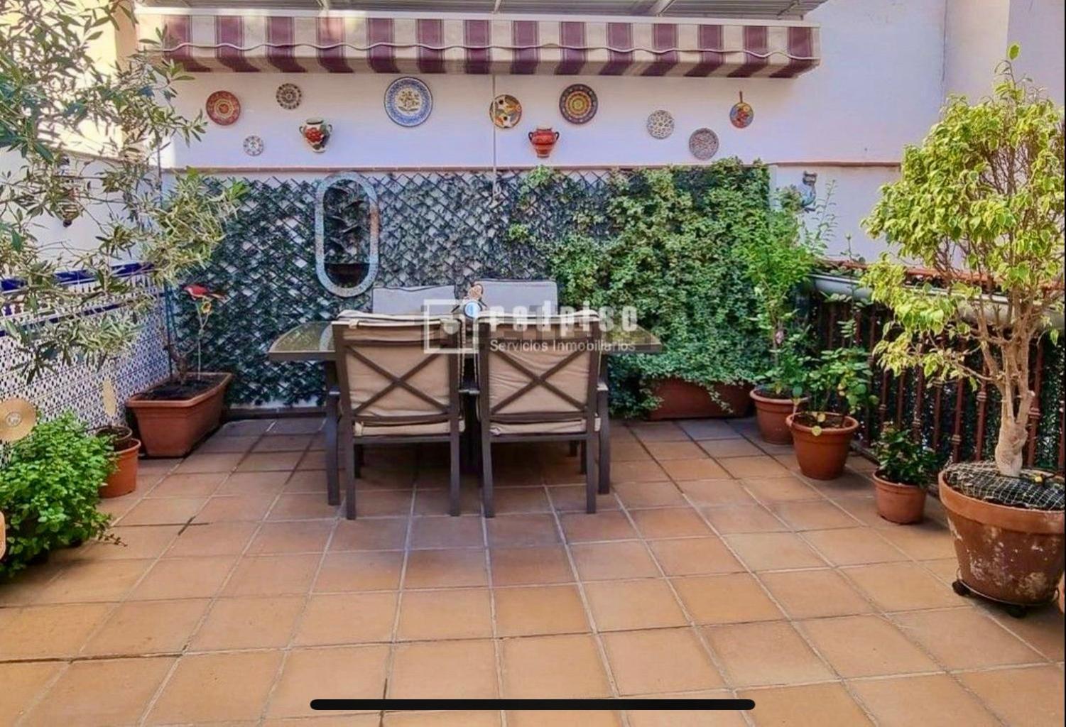 Maravilloso Apartamento Centrico De 70M2, Jardin Propio 40M2 Con Piscina Para Ninos Y Parking Opcional Málaga Kültér fotó